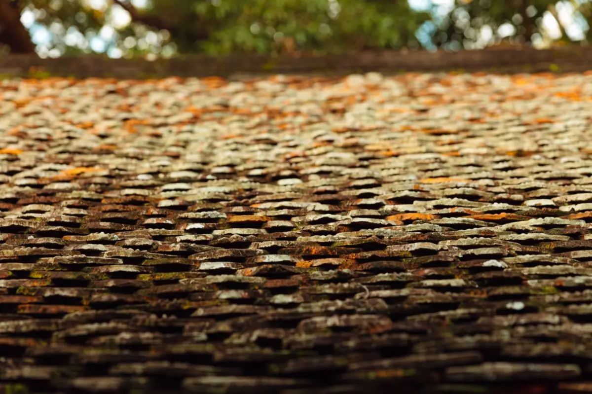 Aging shingle roof with moss growth and granule loss in Anchorage, AK